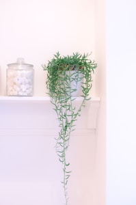 Peça Decorativa Moderna