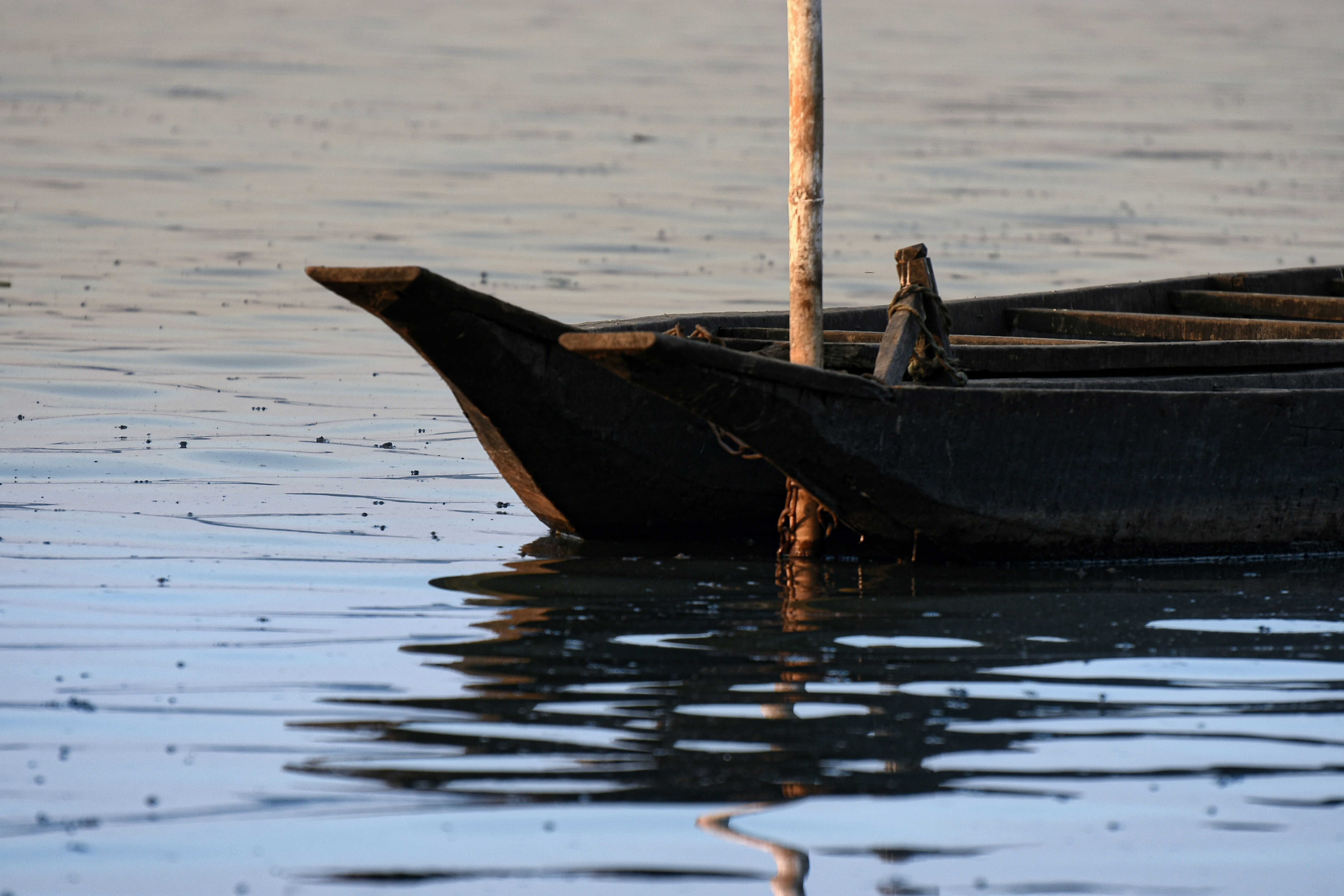 Photo by idksherlock