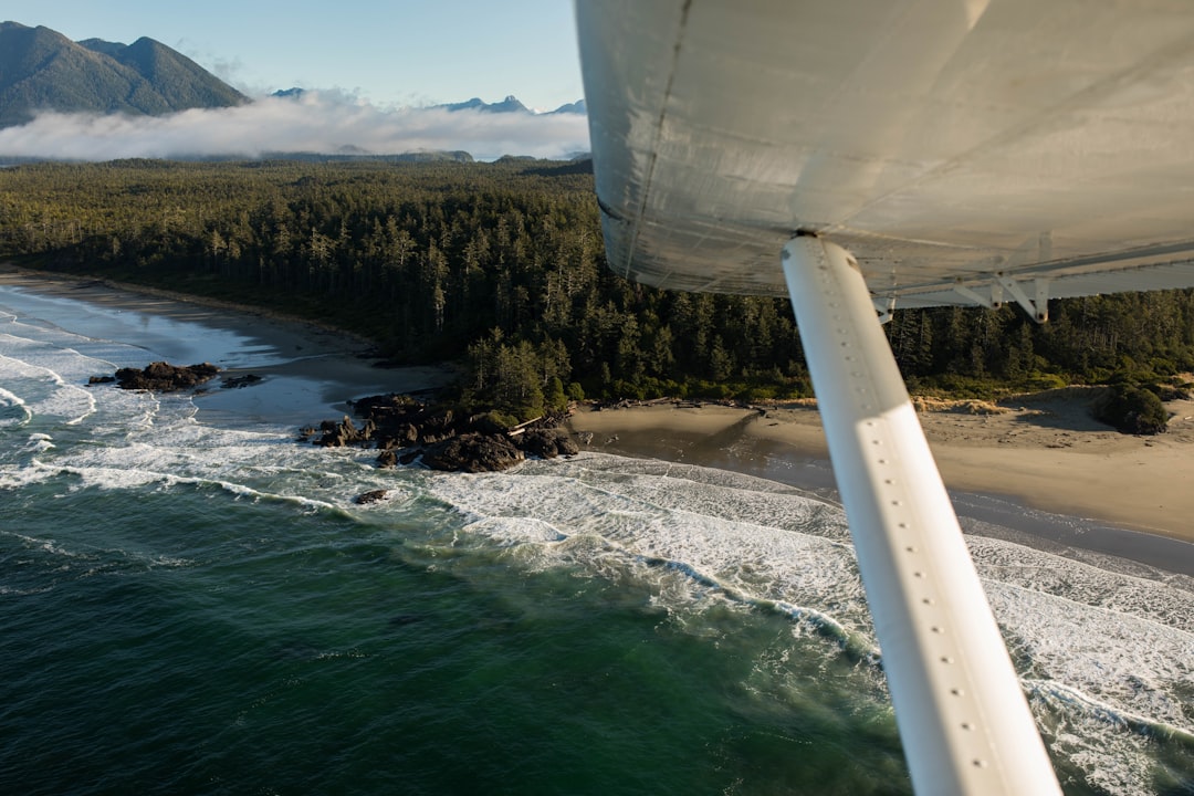 aerial photography of seashore