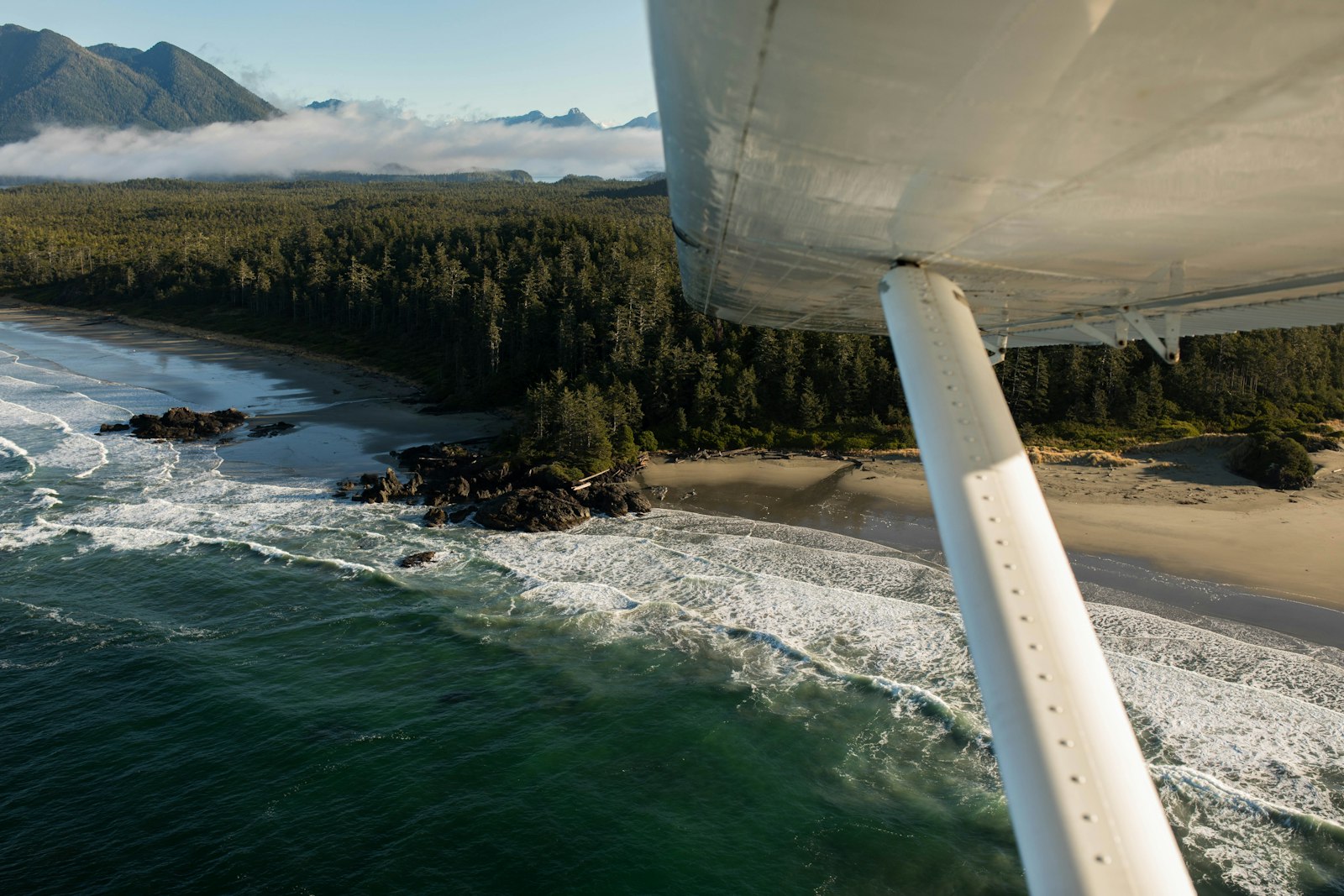 Canon EOS 5D Mark IV + Sigma 35mm F1.4 DG HSM Art sample photo. Aerial photography of seashore photography