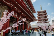A traditional Japanese temple scene featuring a five-story pagoda and cherry blossom trees. The temple architecture is characterized by its red and white colors with intricate details. Many visitors are walking around, some are taking photos, and the sky is clear and blue.