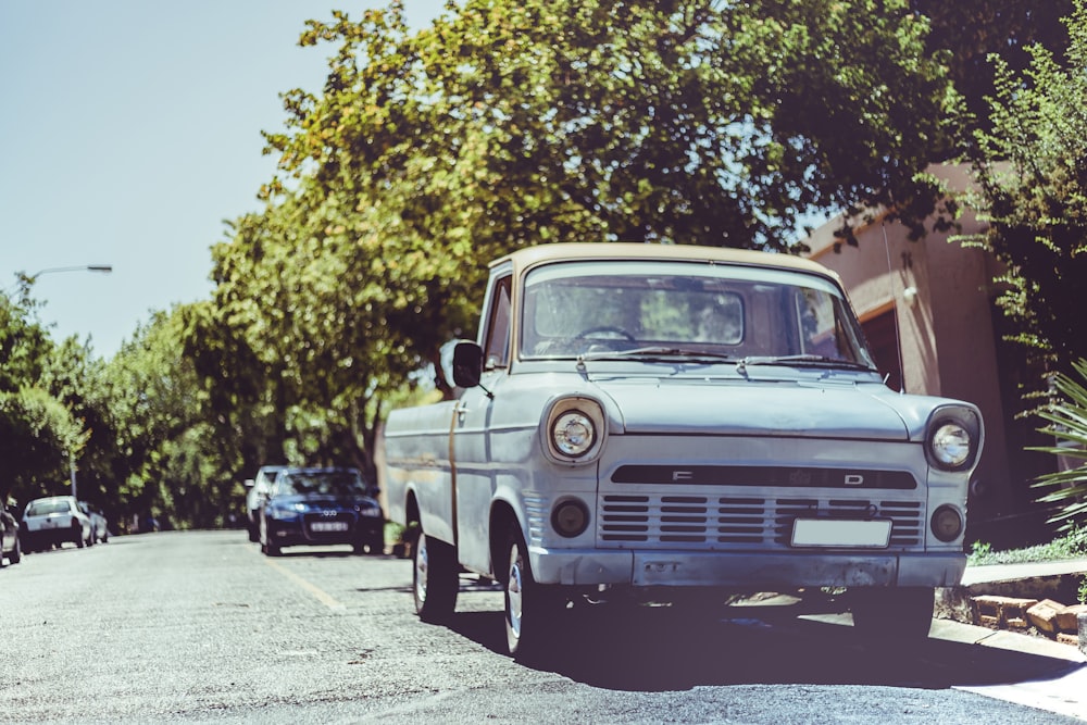 white pickup truck near green leafed plant