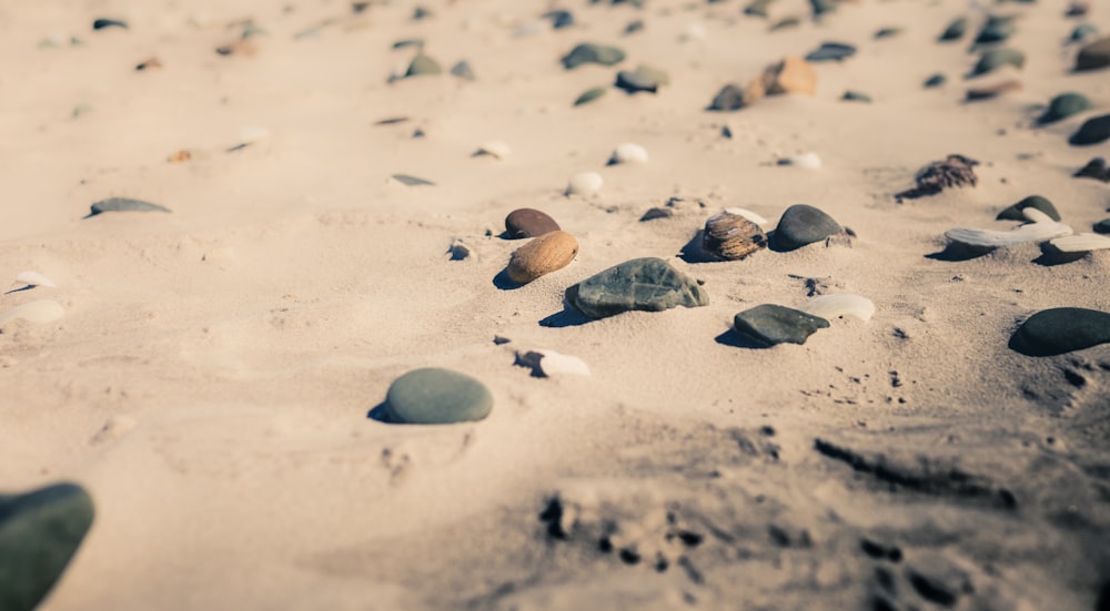 stones on seashore