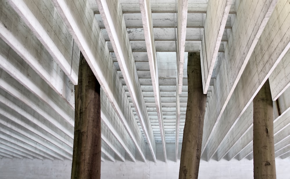 a row of wooden poles under a bridge