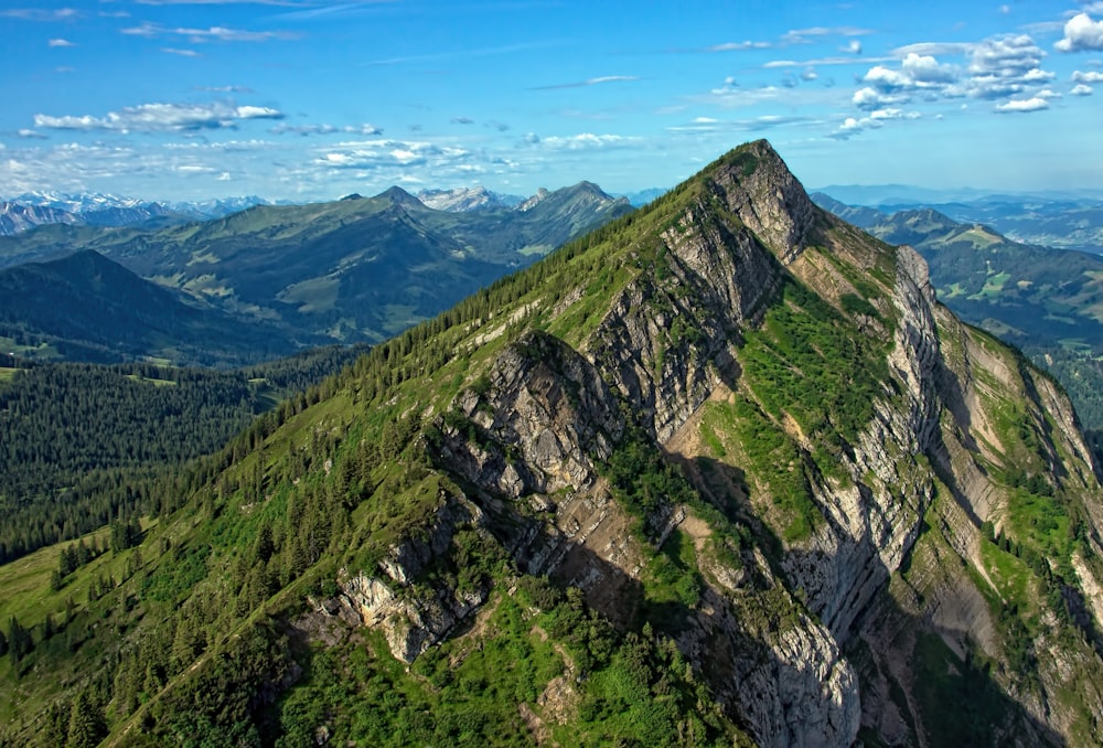 grass covered mountains