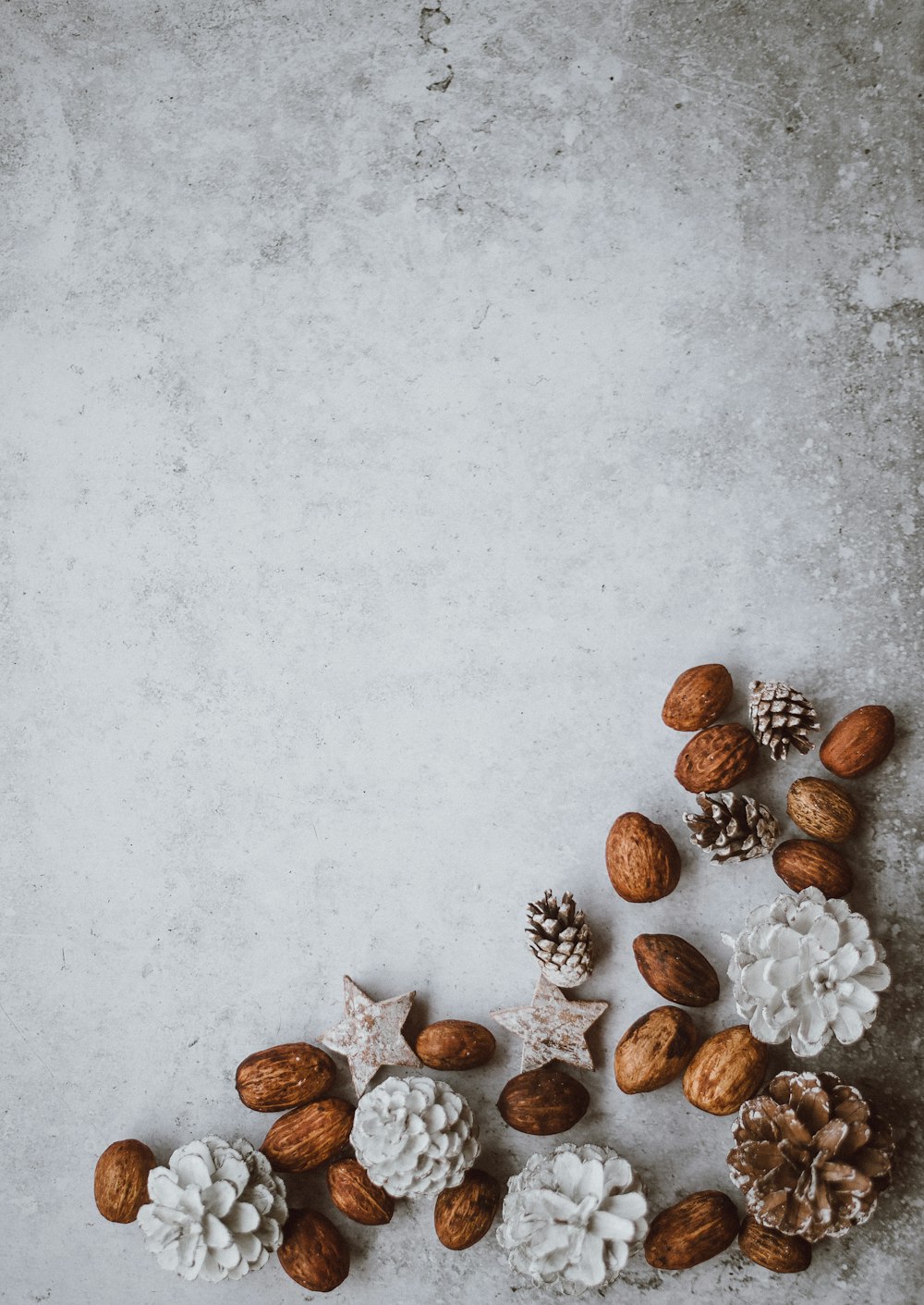 brown nuts and pinecone lot