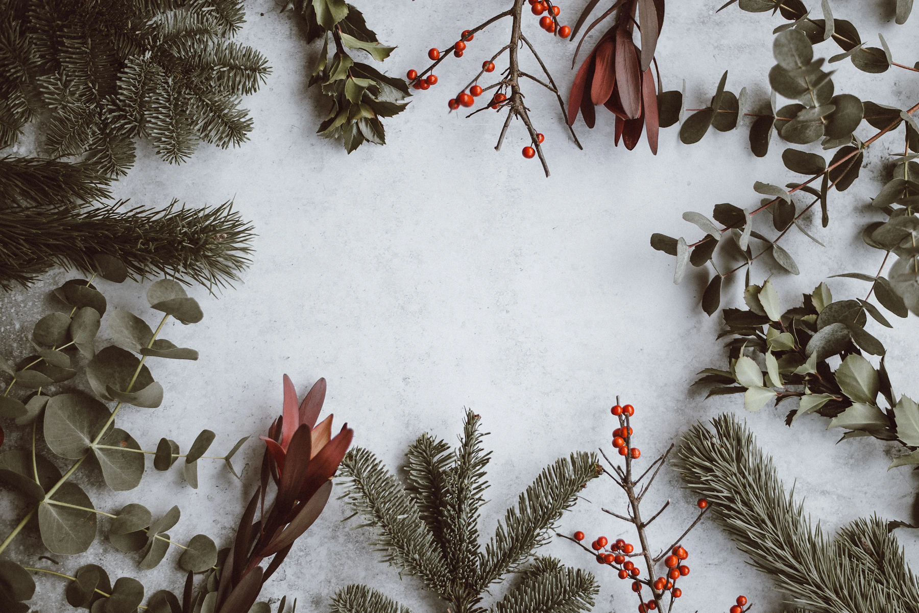 Real Christmas tree and wrapped holiday gifts in a decorated home