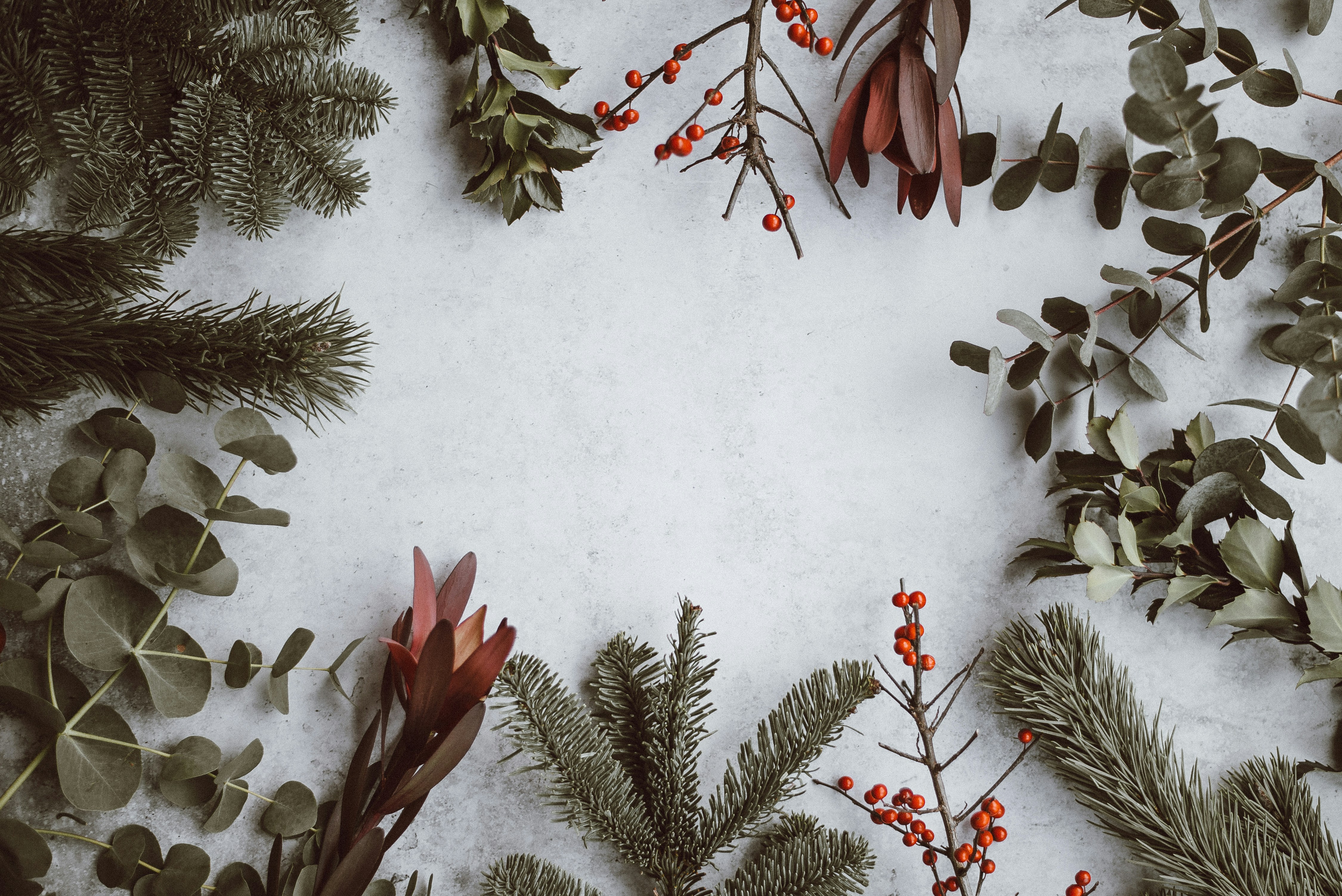 Foto von Annie Spratt auf Unsplash