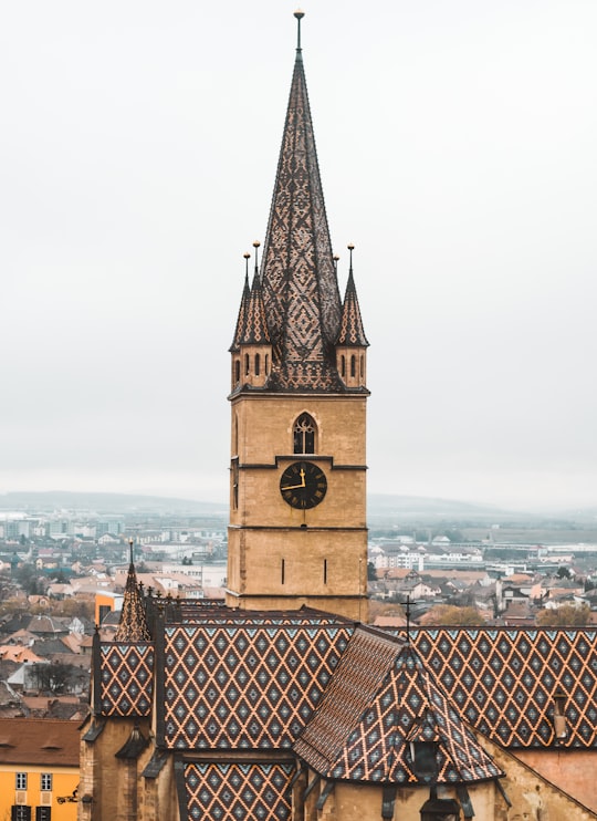 The Council Tower things to do in Păltiniș