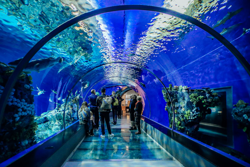 Aquariums