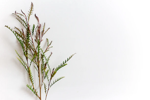 Delicate watercolor botanical leaves in muted olive and sage tones framing the testimonial area.