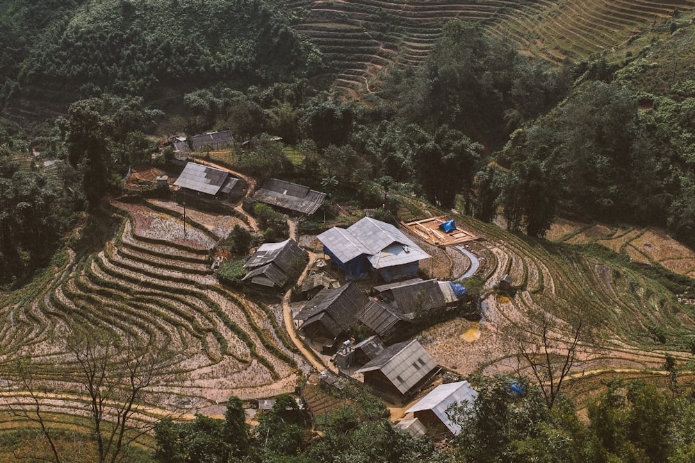 aerial view photo of house surrounded by green trees