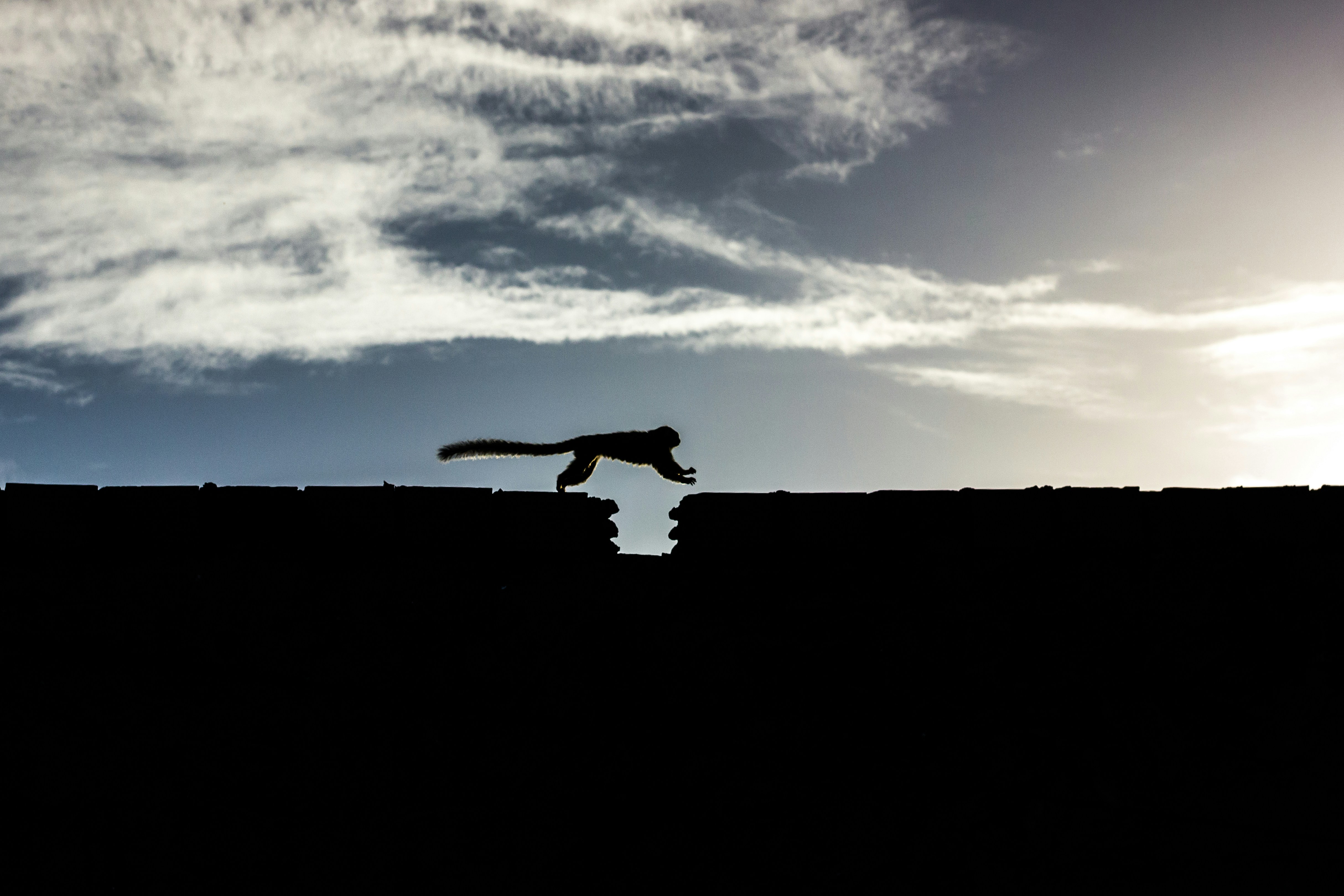 Emocjonujące konkursy skoków narciarskich w sobotę