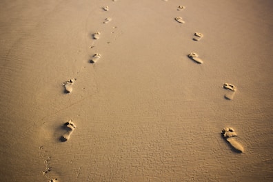 foot prints on brown sand