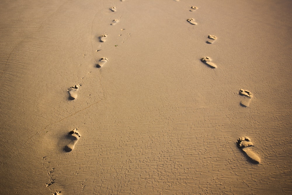 Huellas de pies en arena marrón
