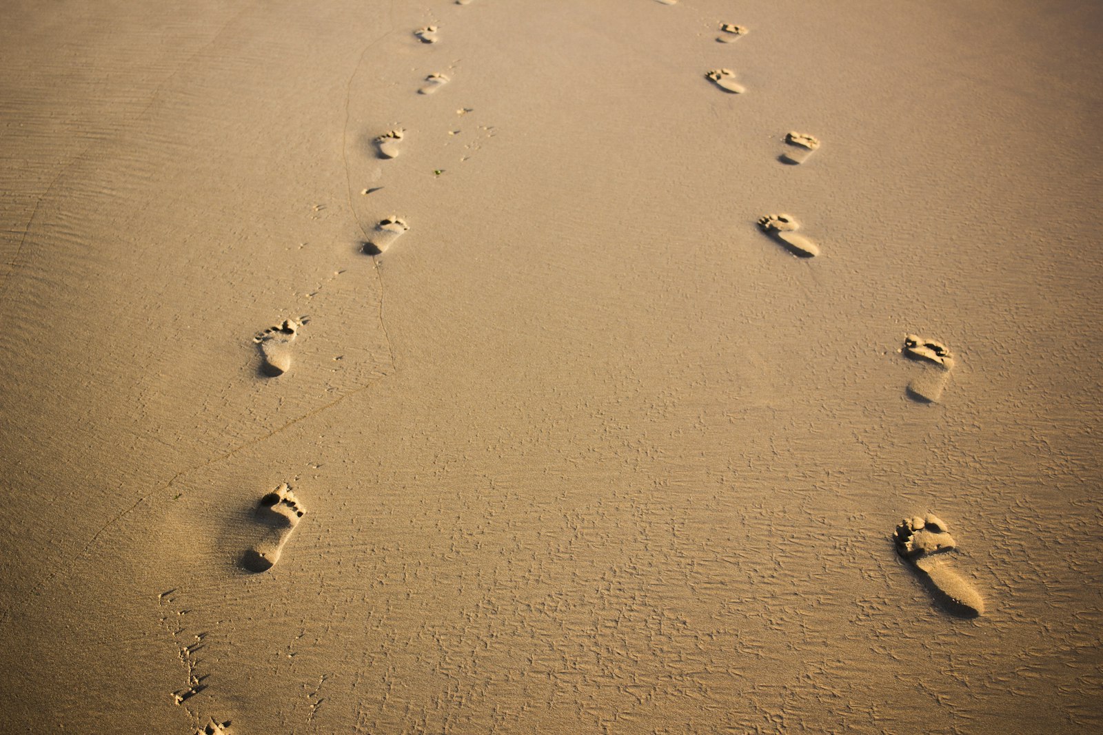 Canon EF-S 24mm F2.8 STM sample photo. Foot prints on brown photography