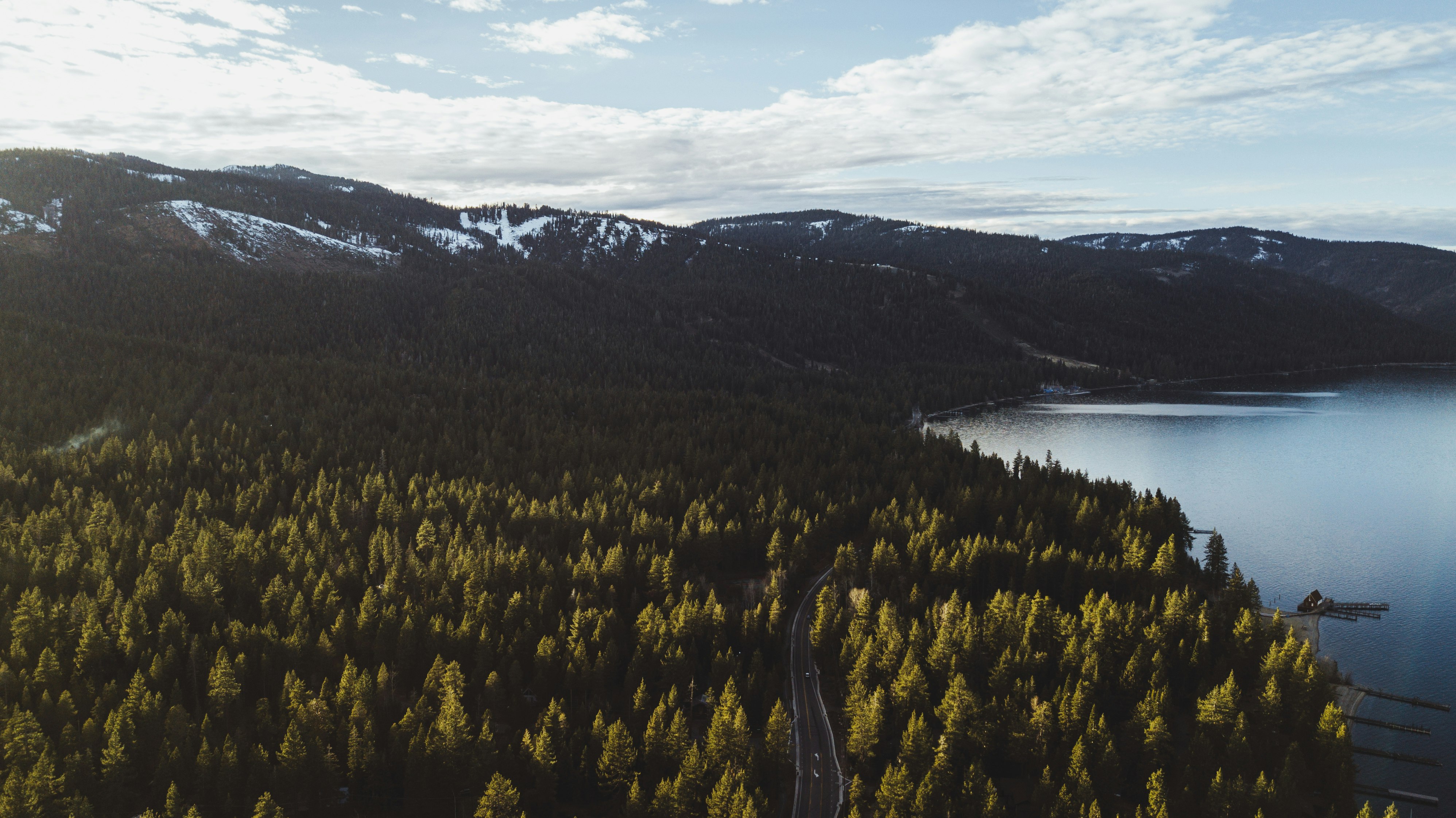 top view photography of trees near body of water