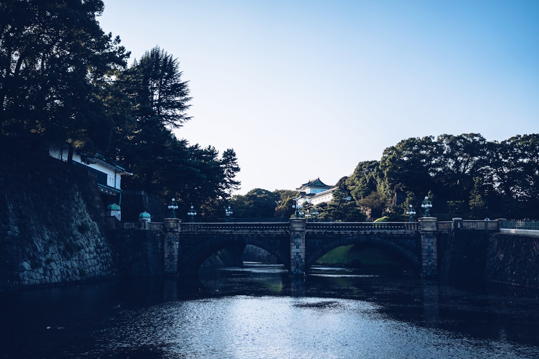 Bridge photo spot Imperial Palace Sumida River