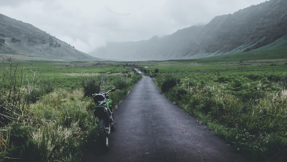 pathway in the middle of grassy field