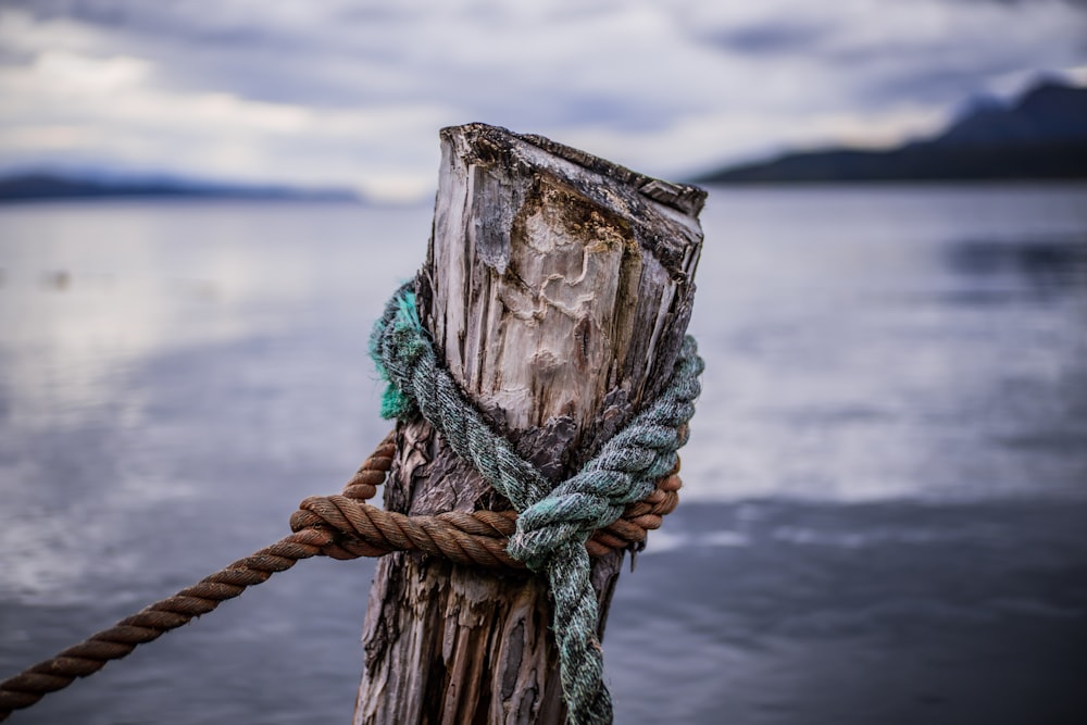 green and brown rope on brown loh