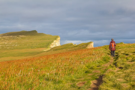 person standing on grass in Látrabjarg Iceland