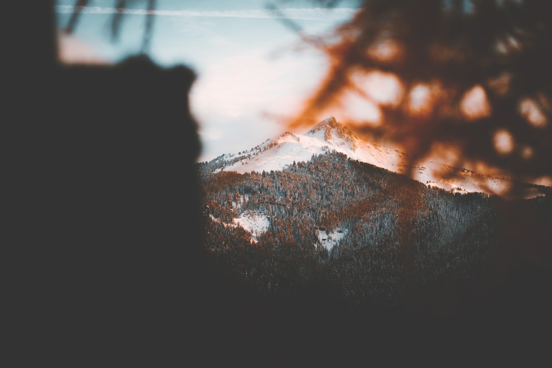 snow-covered mountains near trees during daytime