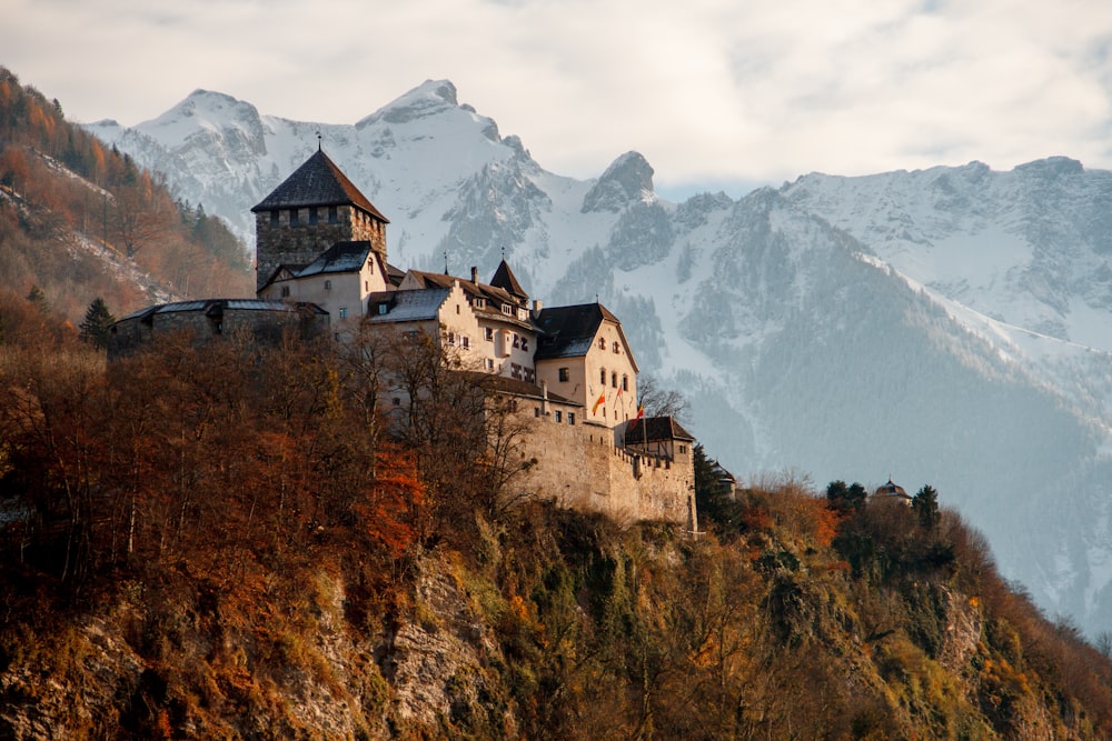 Château sur montagne entouré d’arbres