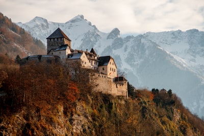 castle on mountain surrounded by trees liechtenstein zoom background