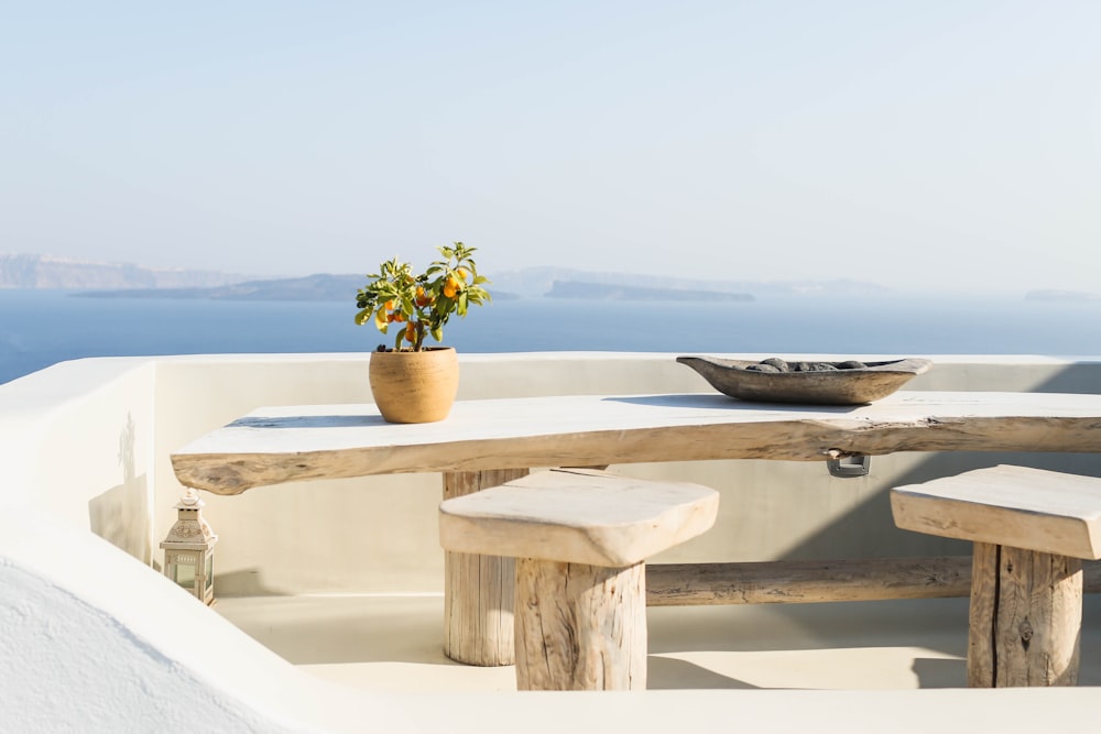 brown pot with green plant on wooden bench