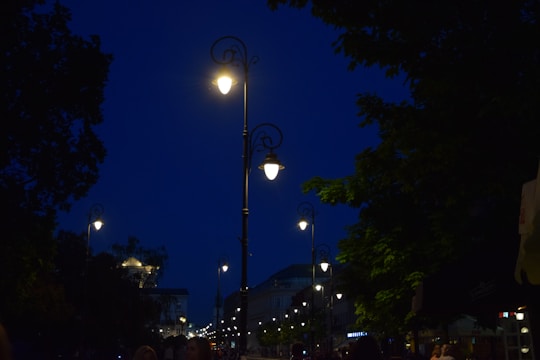 Streetlights glowing warmly along a quiet neighborhood street at dusk.