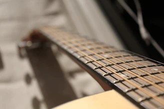 A close-up view of a guitar neck and strings, focusing on the frets and wood grain of the fingerboard. The strings are parallel and run along the length of the guitar. The background is blurred, drawing attention to the guitar's detail.