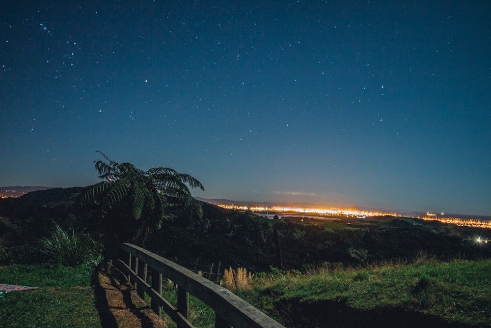 green trees under black sky during nighttime