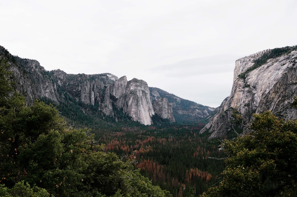 mountain range and trees during daytime