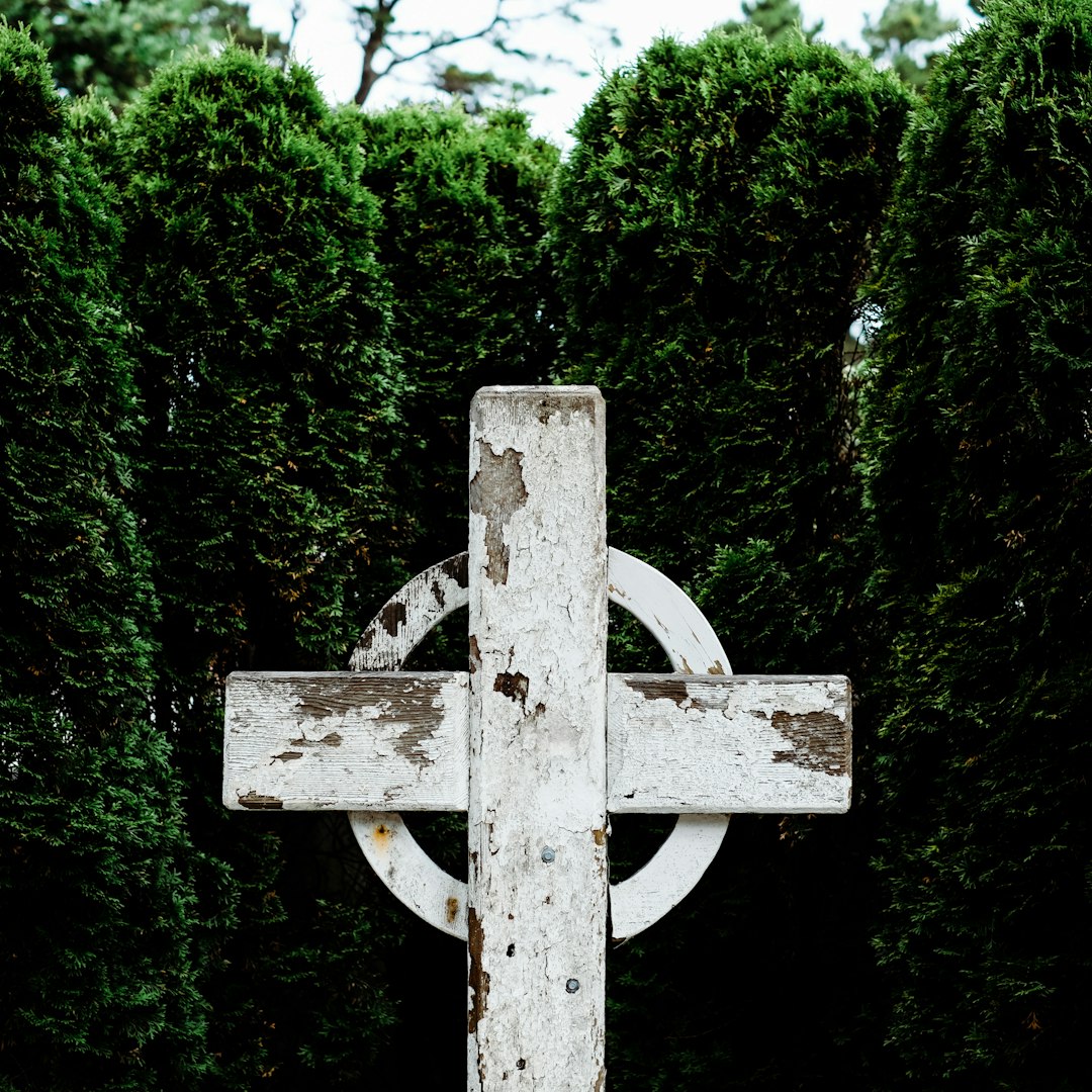 white wooden celtic cross near green leafed plants at daytime