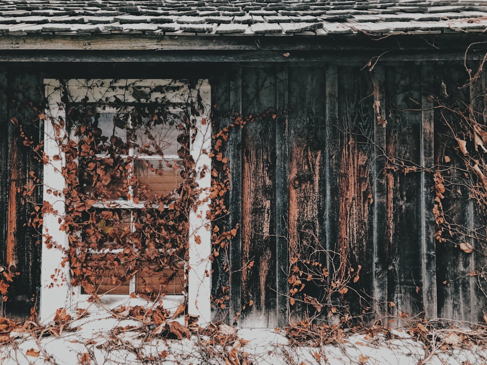 porta de madeira branca cercada por folhas secas marrons
