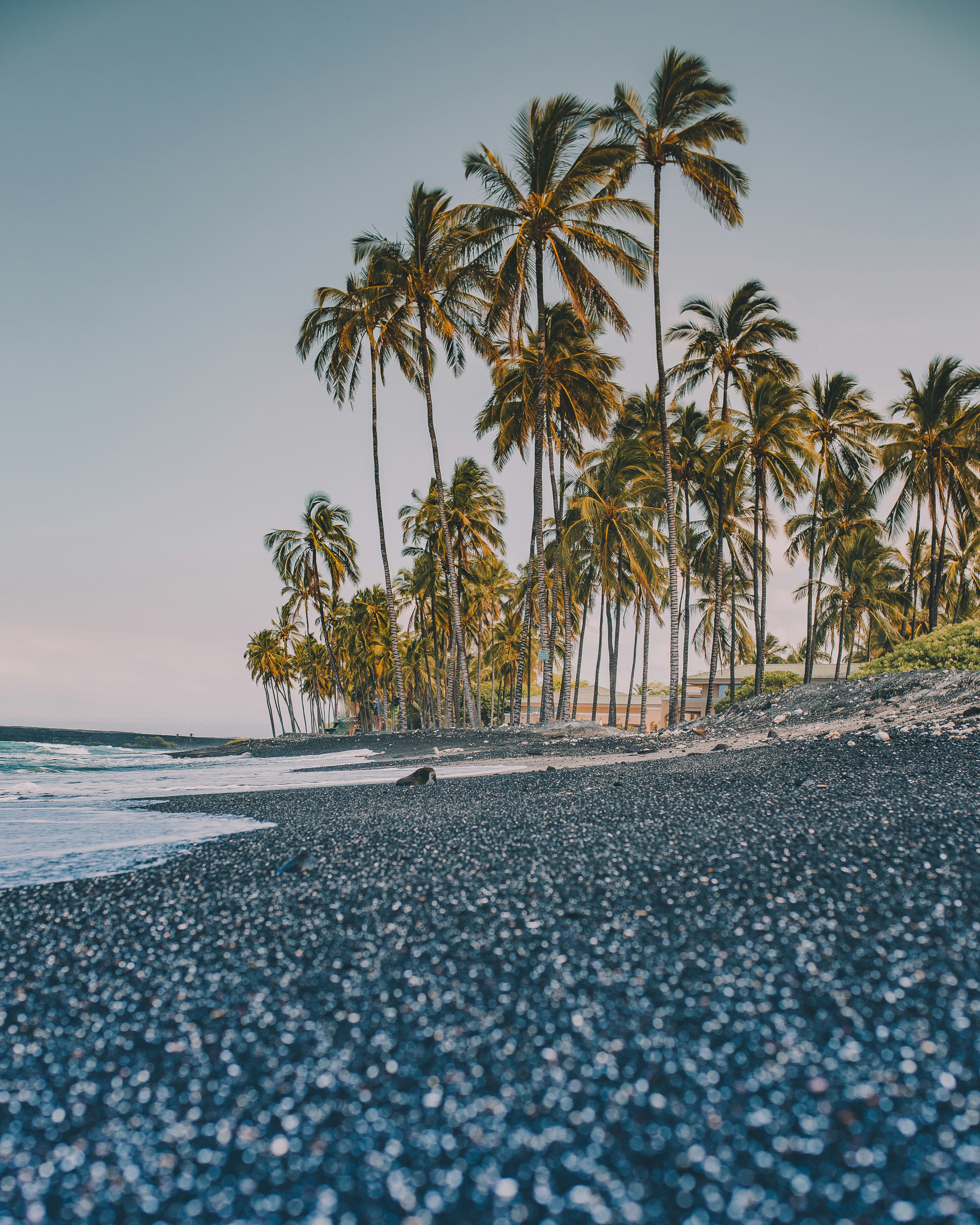 Have you ever seen a black sand beach?