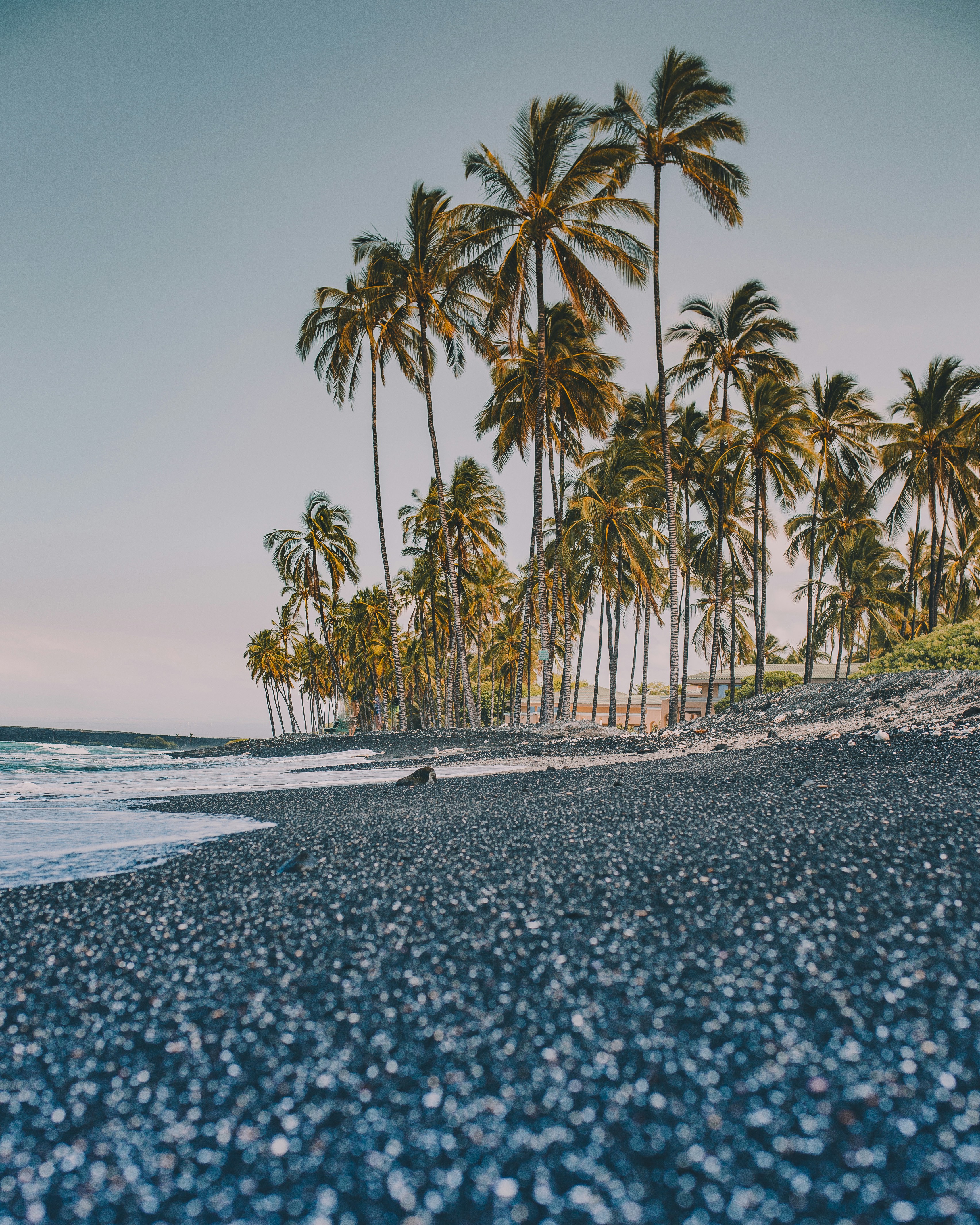 great photo recipe,how to photograph have you ever seen a black sand beach?; trees near coastline