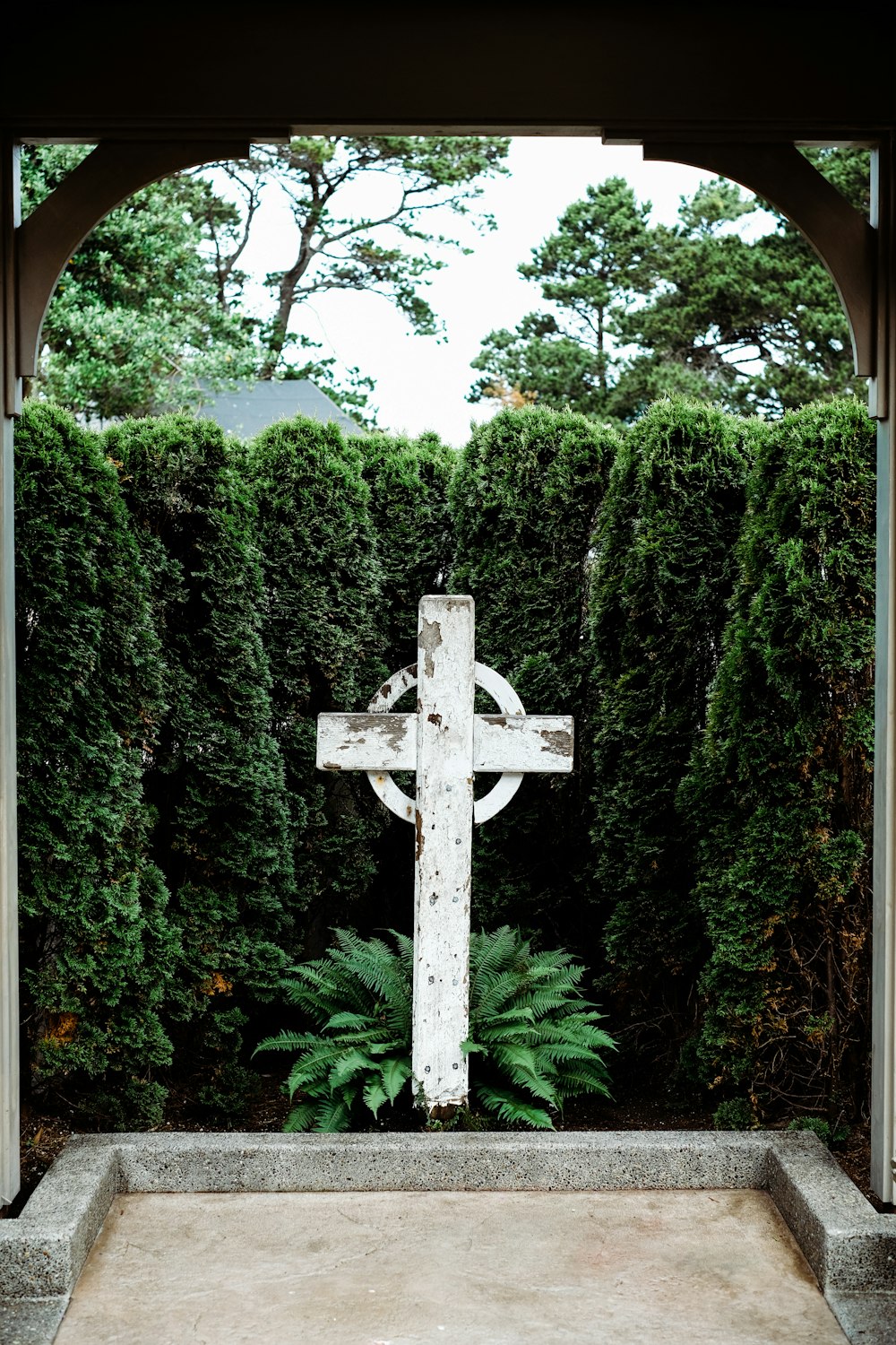 植物に囲まれた白い十字架