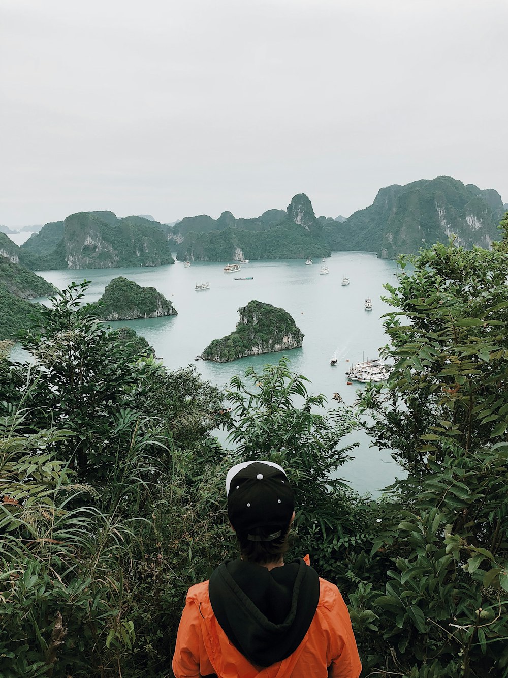 photography of person looking at trees and water body