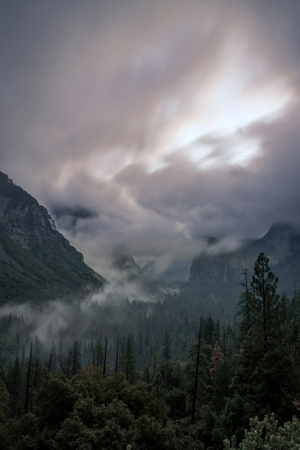 green leafed trees near mountains covered with smoke at daytime