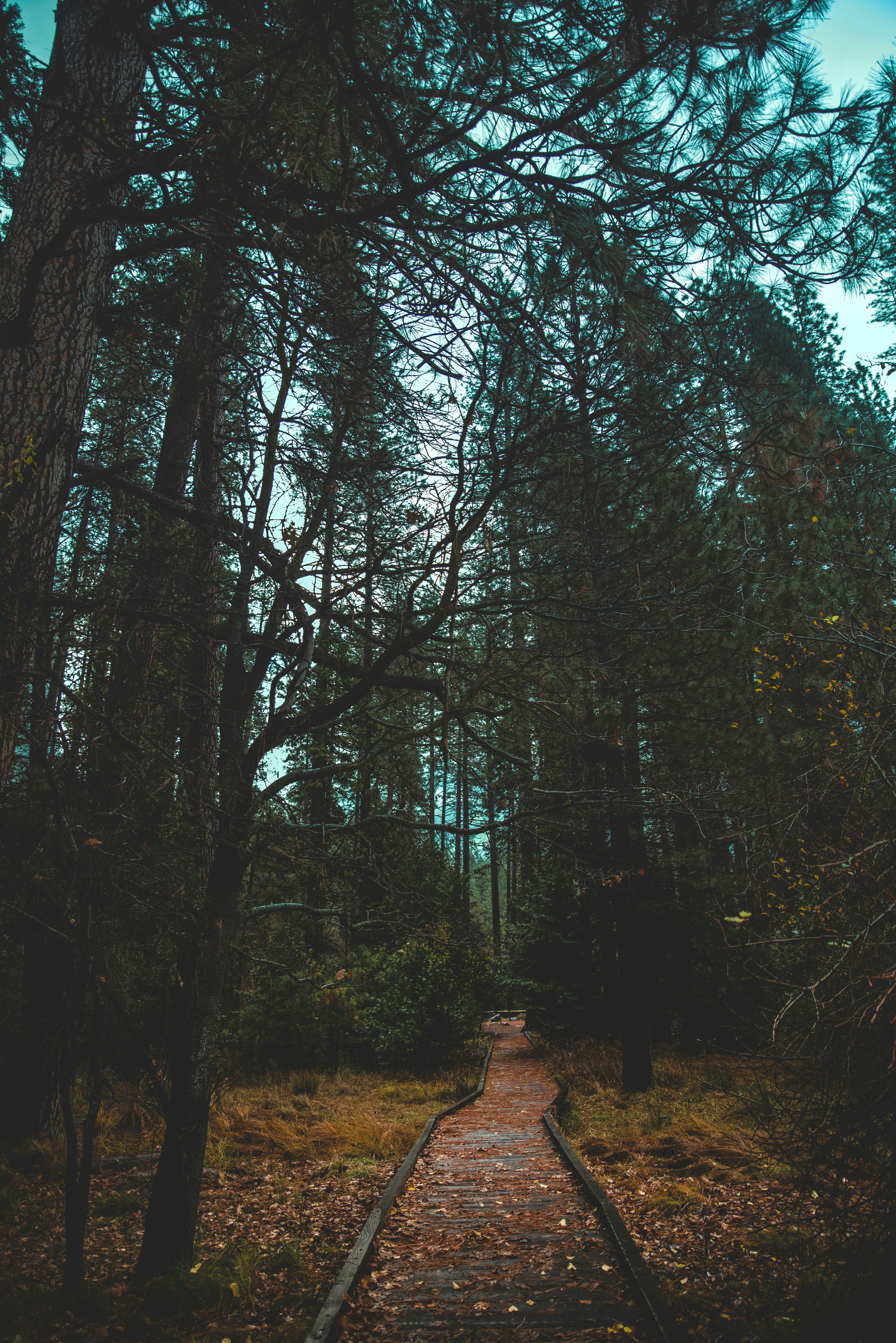 Photo by mischievous_penguins