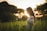 shallow focus photography of woman standing on grass field while holding grass