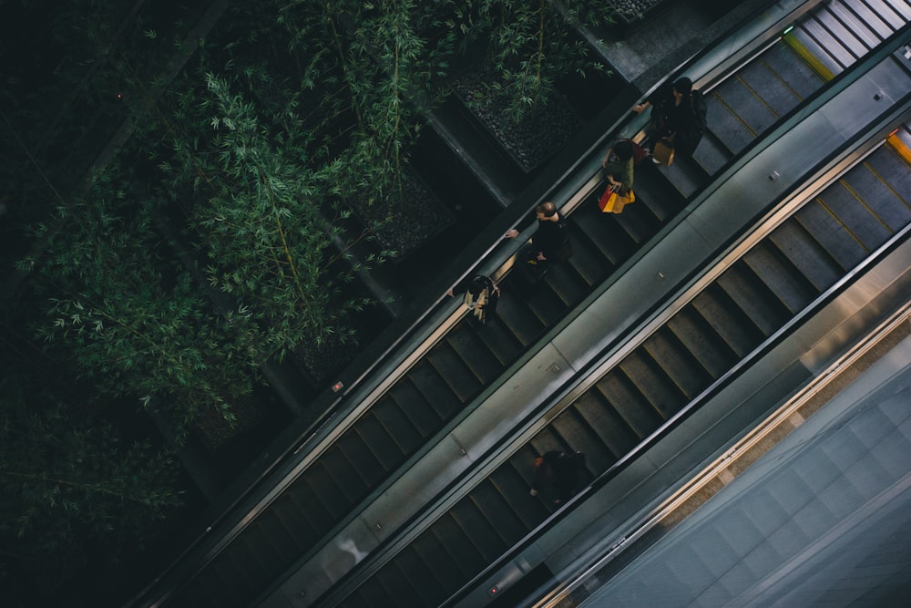 four person standing on escalator