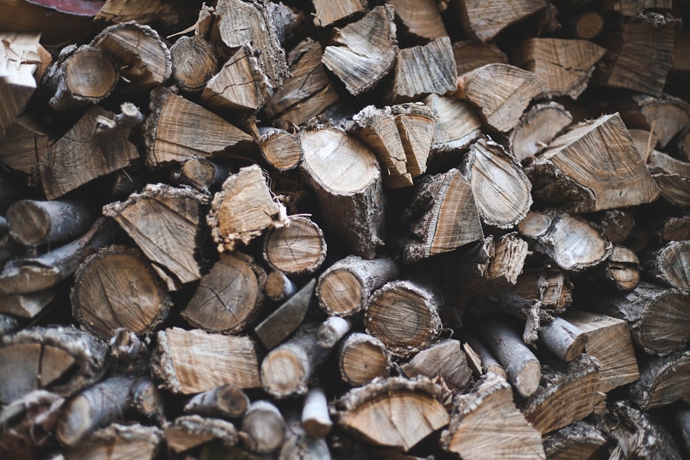 close-up photography of brown fire woods