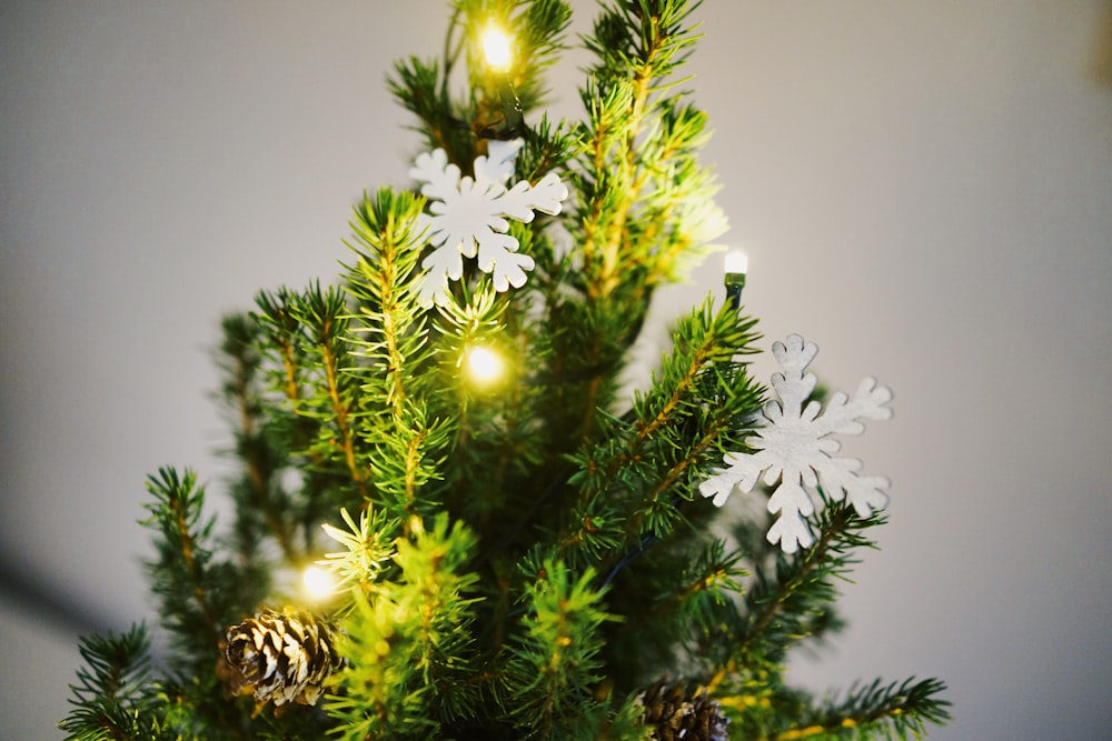 Flachfokusfotografie von grünem Weihnachtsbaum mit weißem Schneeflockendekor