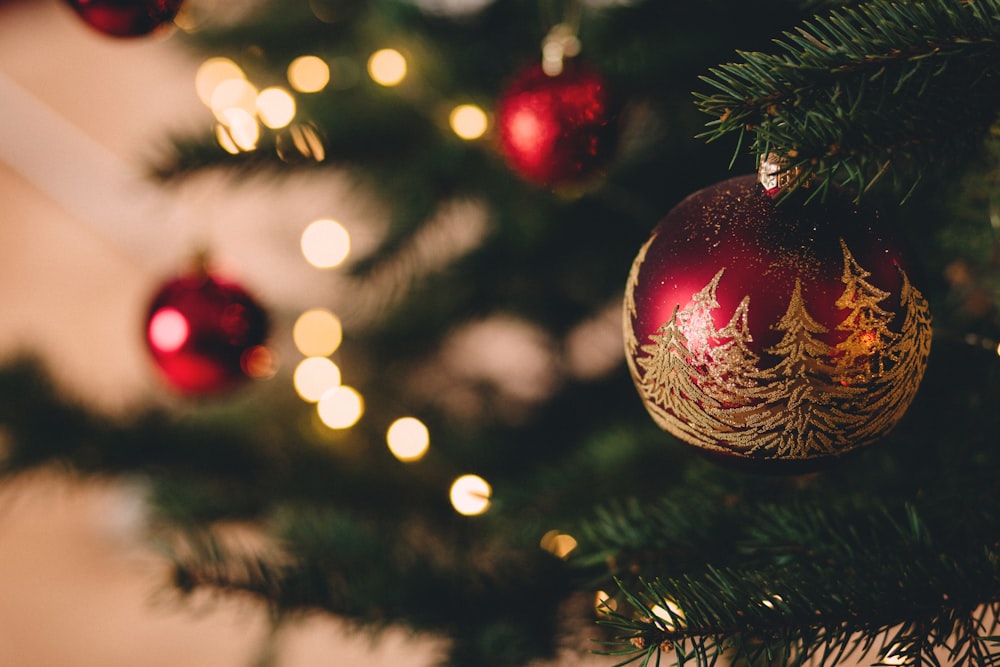 Fotografía de enfoque superficial de adornos rojos en el árbol de Navidad