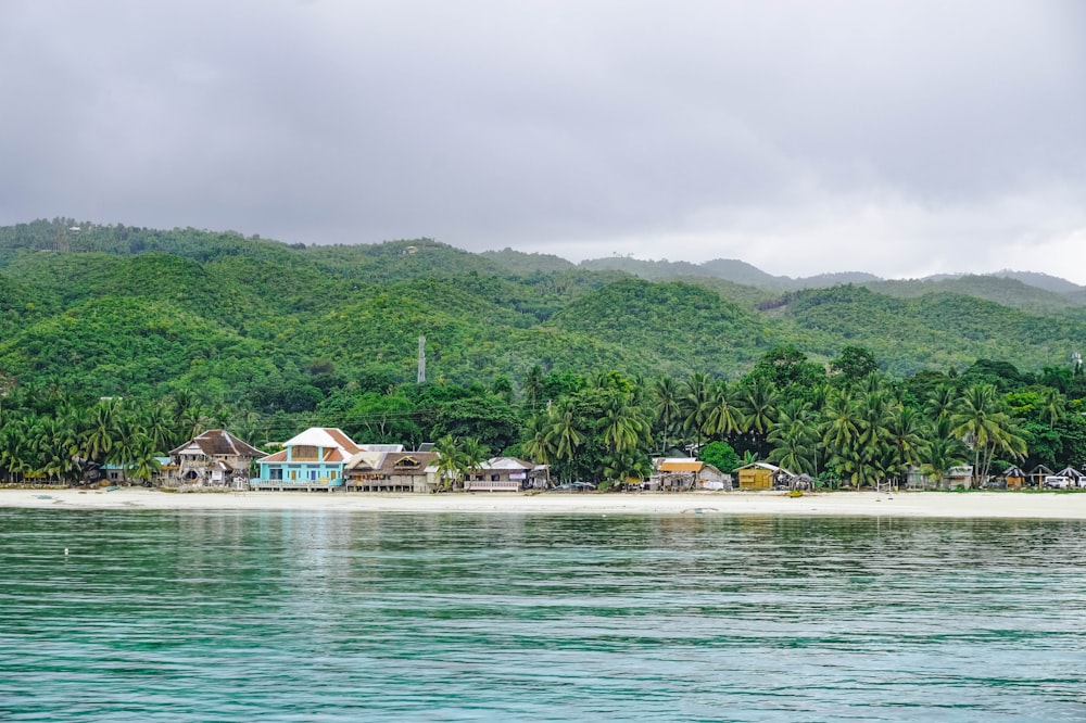 houses between trees and body of water under cloudy sky