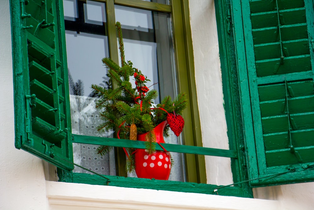green leafed plant in red vase across window