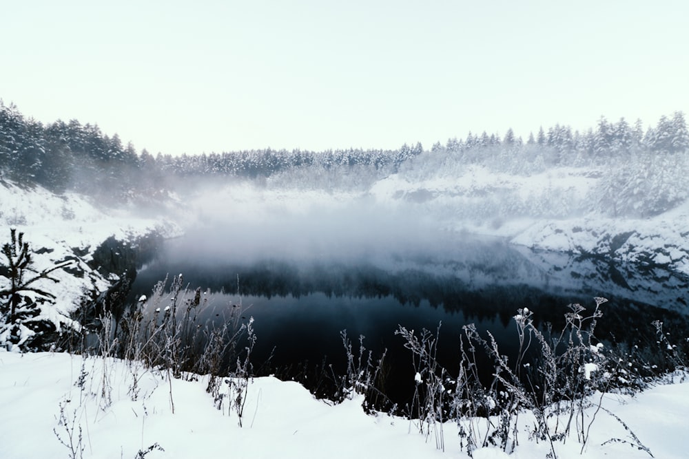 See umgeben von Bäumen, die tagsüber mit Schnee bedeckt sind