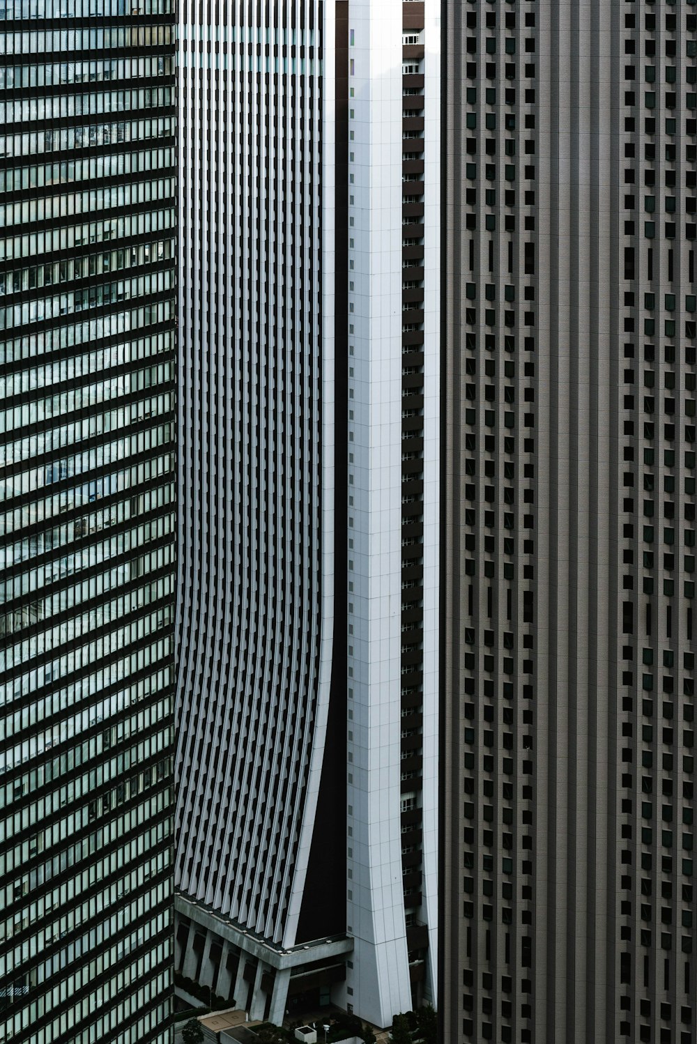 Rascacielos grises, blancos y marrones